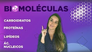 BIOMOLÉCULAS l Prof Louise Medeiros [upl. by Sonitnatsnok]