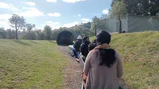 Sydney to Tamworth NSW Australia train station [upl. by Adialeda763]