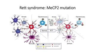 Rett Syndrome MeCP2 gene mutation Genetic disorder Code 186 [upl. by Aehs]