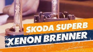 XenonLampe wechseln  Skoda Superb TUTORIAL [upl. by Nahgam712]