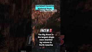 Unbelievable 5 Amazing Facts About Carlsbad Caverns [upl. by Ymrej]