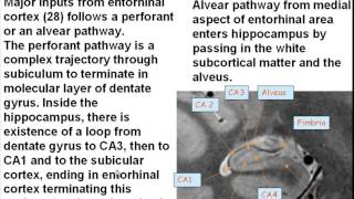 Anatomy of the Hippocampus and Limbic system [upl. by Khorma]