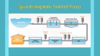 Coagulation Flocculation [upl. by Hola]