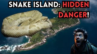 SNAKE ISLAND SURPRISING FACTS ABOUT THIS DANGEROUS ISLAND🐍🏝️ [upl. by Darnall]