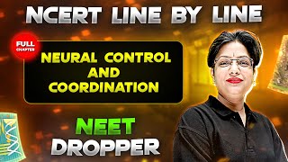 Neural Control and Coordination FULL CHAPTER  NCERT Class 11th Zoology  Chapter 9  Yakeen [upl. by Braynard946]