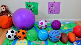 Learn Colors with Different Sports Ball for Baby and Toddlers [upl. by Roanna43]