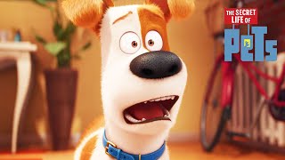 The Secret Life of Pets 2 Movie 2019  The Secret Life of Pets 2 2019 Animated HD Movie Full Review [upl. by Cassella973]