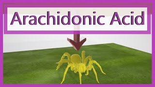 Arachidonic Acid Pathway Mnemonic [upl. by Laram126]