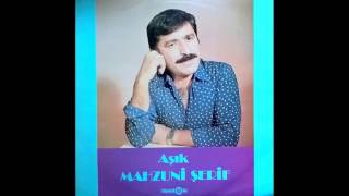 Aşık Mahzuni Şerif  Bu Sene De Böyle Oldu [upl. by Oitaroh]