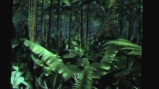 1992 cool mint listerine jungle vine swinging commercial [upl. by Atin]