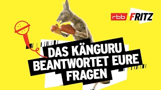 Das Känguru antwortet auf Eure Kommentare  Neues vom Känguru reloaded mit MarcUwe Kling [upl. by Agripina]