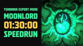 Terraria  Expert Mode Speedrun Moonlord in 90 minutes no major glitches [upl. by Peg]