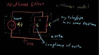 Windkessel Effect  Aortic compliance [upl. by Mandych693]