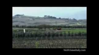 Brunello di Montalcino Tuscany Tour [upl. by Jary]