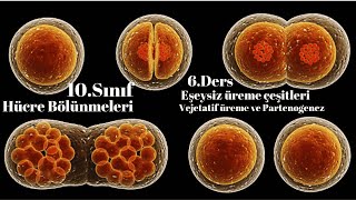 10 Sınıf Biyoloji Partenogenez ve Vejetatif üreme 6Ders [upl. by Notreve]