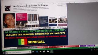 RÉPUBLIQUE DU SÉNÉGAL  LA LIASSE AUTOMATISÉE DE COLLECTE DES ETATS FINANCIERS SYSCOHADA RÉVISÉ [upl. by Aidekal253]