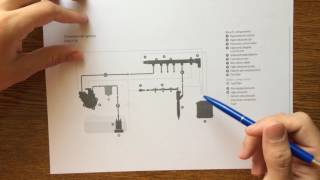 Common Rail System Explained [upl. by Alikahs]