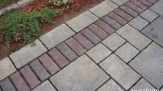 Polymeric sand joint replacement project [upl. by Atirahc]