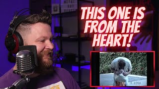 Reaction to Wolfgang Van Halen  Mammoth WVH  Distance  Metal Guy Reacts [upl. by Riddle]