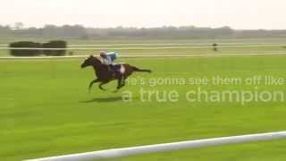 BrillianceRedefined  Frankel wins the 2000 Guineas [upl. by Adnalohs131]