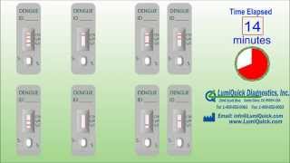 Dengue Antibody IgG  IgM Test [upl. by Aikem518]