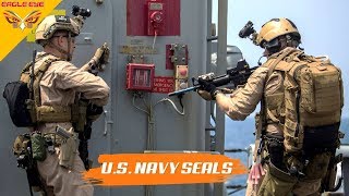 US Navy SEALs in Action  The Most Elite Special Forces in The US [upl. by Eenaffit756]