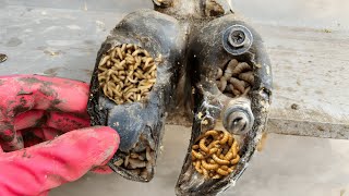 Hoof Trimming Removing Nails from Cows Hooves for Better Health  The Hoof Fixers [upl. by Ayor]