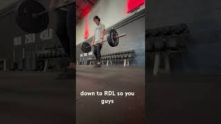 Split Stance Barbell RDL [upl. by Anirdnajela]