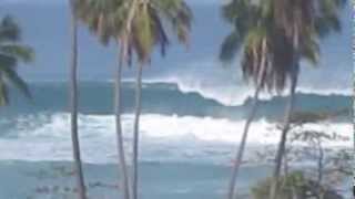 Rincon Puerto Rico Surfing Massive 30 Foot Waves from a half mile away [upl. by Harlin]