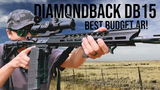 Diamondback DB15  Review 2000 Rounds Later [upl. by Cristobal]