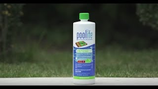 poolife® Defend® Algaecide [upl. by Namzaj]