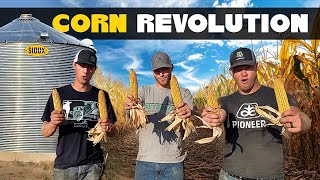 CORN REVOLUTION Official Music Video [upl. by Alinna]