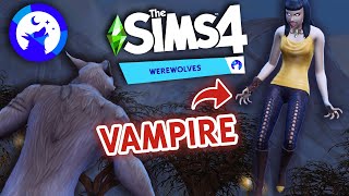 our first fight with a VAMPIRE  Sims 4 Werewolves 3 [upl. by Notsgnal946]