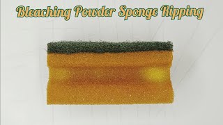 ASMR •Bleaching Power Sponge Ripping •💚🧡asmr powder bleaching spongeasmr [upl. by Ennyroc444]