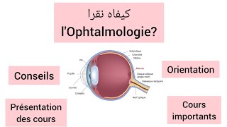 Conseils et orientations Module dophtalmologie  6 ème année Médecine [upl. by Brion291]