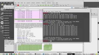 ICMP packet format explained with Wireshark  IP Header Ethernet ICMP Header  timestamp Linux [upl. by Karlow955]