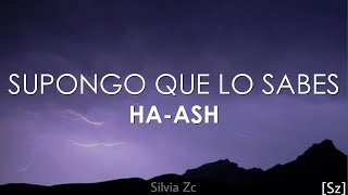 HAASH  Supongo Que Lo Sabes Letra [upl. by Nnairda]