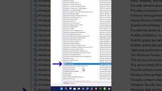 How to Disable Windows 11 Update [upl. by Raimund44]