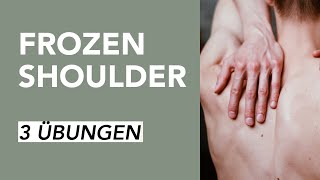 Übungen für Schulterschmerzen bei Frozen Shoulder  Liebscher amp Bracht [upl. by Lura]