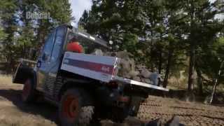 Toolcat 5600 Utility Work Machine Versatility In Action [upl. by Terrene]