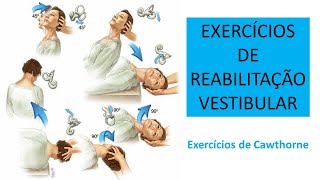 EXERCÍCIOS DE REABILITAÇÃO VESTIBULAR [upl. by Lan]