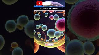 FASTING amp AUTOPHAGY fasting autophagy drjavaidkhan healthtips health [upl. by Ari]