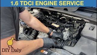 Ford Focus 16 TDCI Engine service procedure oil air amp fuel filters mk3 [upl. by Ednihek512]