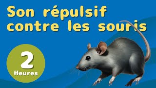 Bruit Répulsif pour Souris et Rats Sons haute fréquence [upl. by Ssidnac]