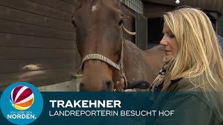 Pferde Landreporterin besucht Trakehner Gestüt in Plön [upl. by Standley768]