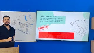 Cephalometric xray lec1 stage 5 part 2 [upl. by Ais]