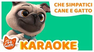 44GattiIT  Canzone quotChe simpatici Cane e Gattoquot KARAOKE [upl. by Flinn866]