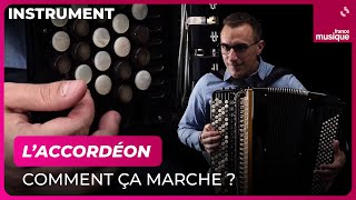 Laccordéon par Félicien Brut  Culture Prime [upl. by Ernald871]