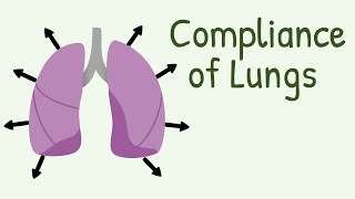 Compliance of Lungs [upl. by Naicad]