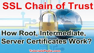 SSL Chain of Trust  How SSL Chain Works  Root Cert Intermediate Certificate Server Certificate [upl. by Ecirtram]